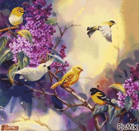 人生哲理图片带字唯美,文字动态图片大全唯美