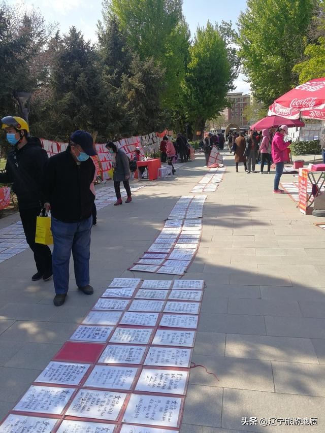 沈阳南湖公园老年相亲,最新沈阳南湖公园相亲