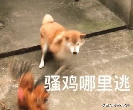 平价lamer,100块lamer套装