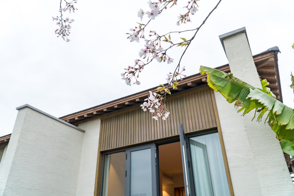 踏春赏花正当时，打卡千垛水上油菜花！玩转兴化景点美食全攻略