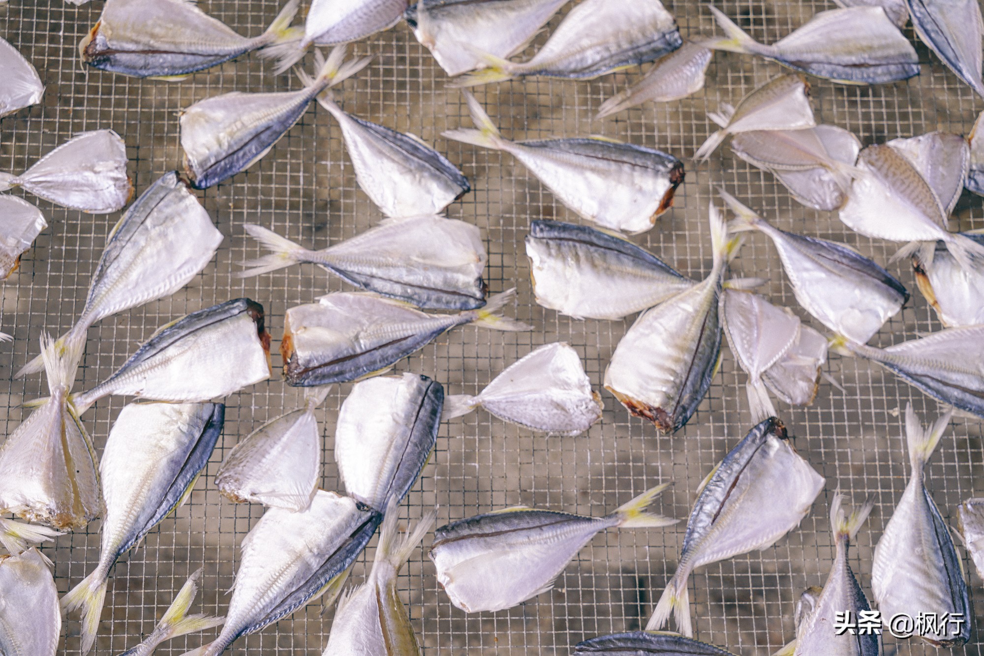 被猴子袭击，门票昂贵，拍照被轰，被我全程吐槽的三亚到底值不值