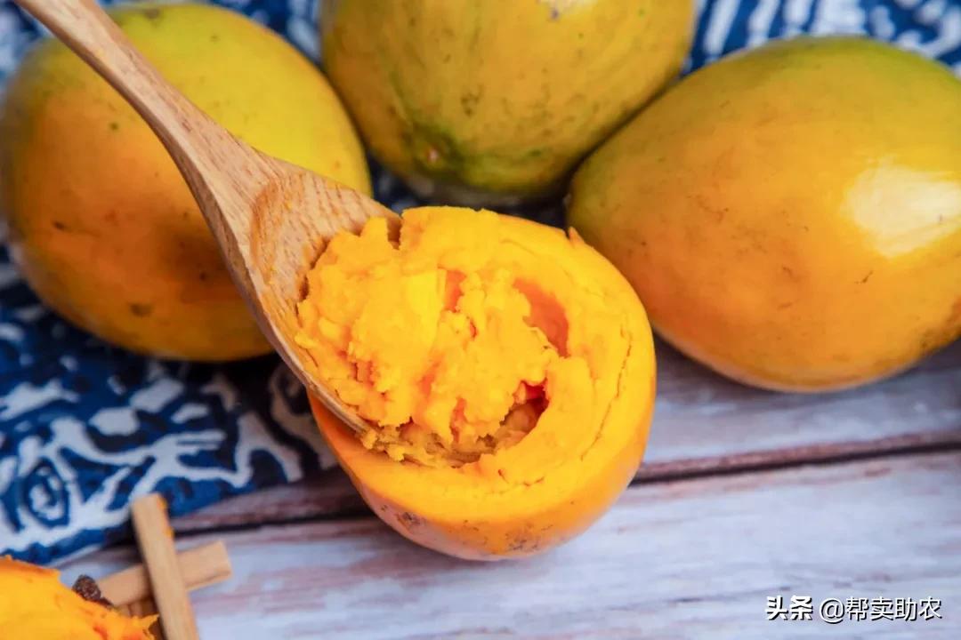 闀垮湪鏍戜笂鐨勭孩钖浮铔嬫灉,闀垮湪鏍戜笂鐨勯浮铔嬫灉