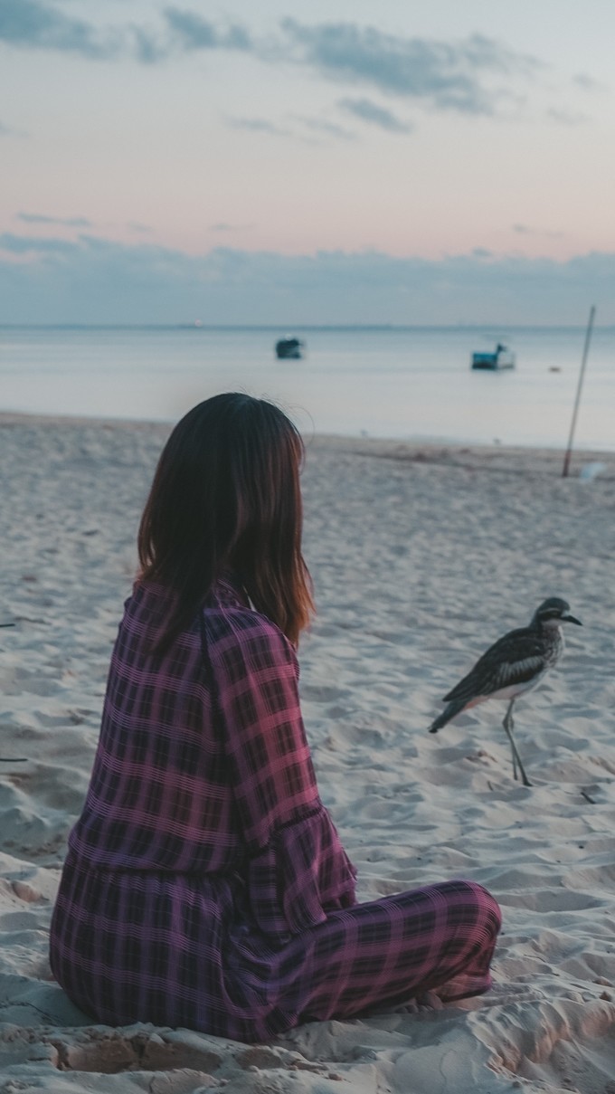 澳洲观鲸攻略,澳洲观鲸之旅