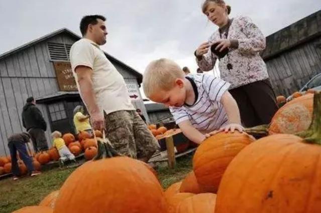 关于感恩节的健康活动,关于感恩节你不知道的真相