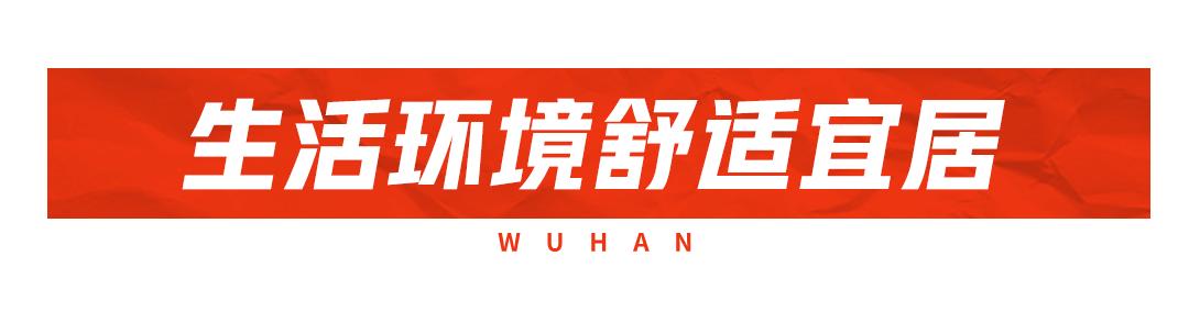 武汉空港新城会展中心,武汉空港国际商务新城最新规划