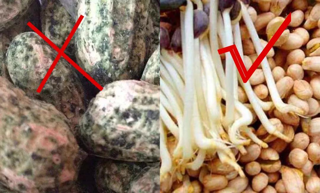 炸花生米,最忌讳直接下油锅!多加“这2味料”,香脆又不糊