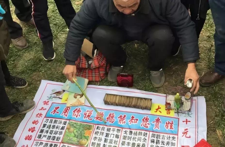 黄雀看相,识破江湖骗术