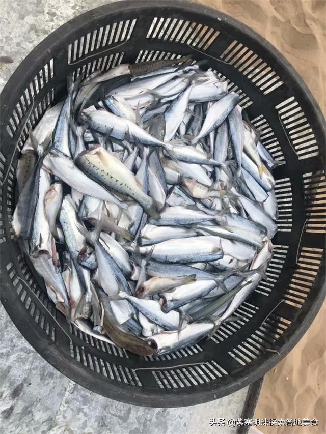 东戴河可以赶海抓螃蟹的地方,东戴河赏海