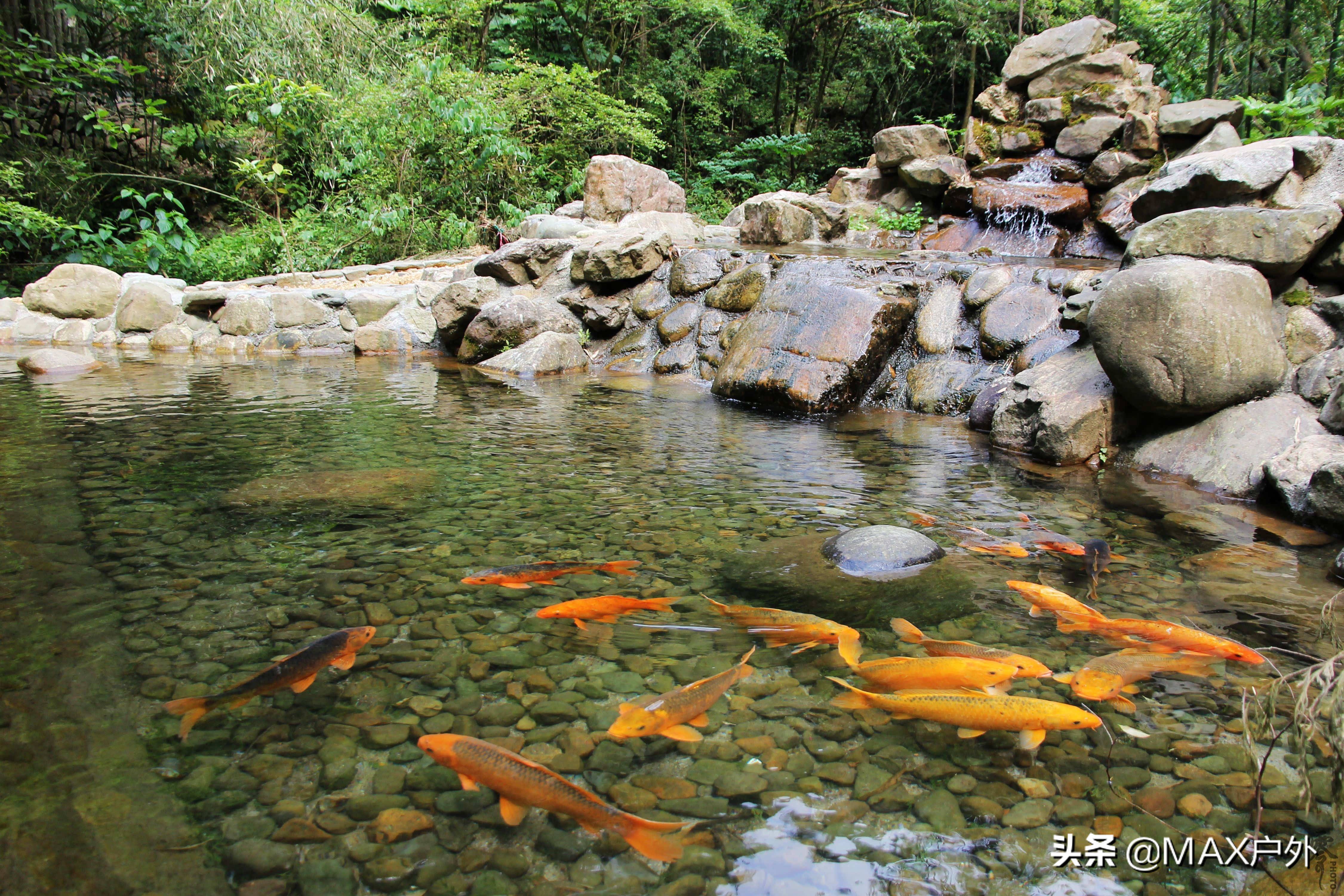 开启你的天然氧吧洗肺之旅,富氧洗肺好去处