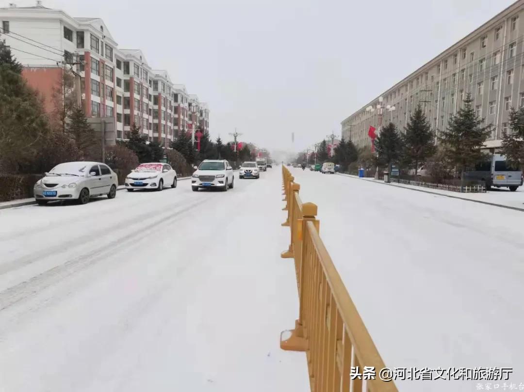 石家庄大雪来袭,石家庄大雪去哪了
