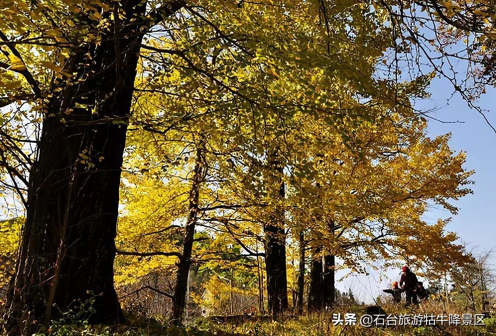 如何介绍牯牛降,牯牛降介绍简介