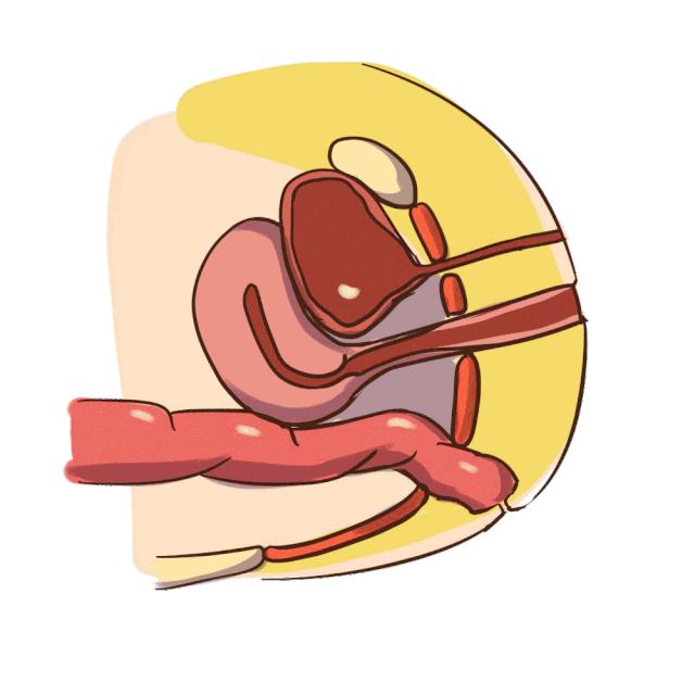 盆底肌很重要吗,盆底肌汤唯