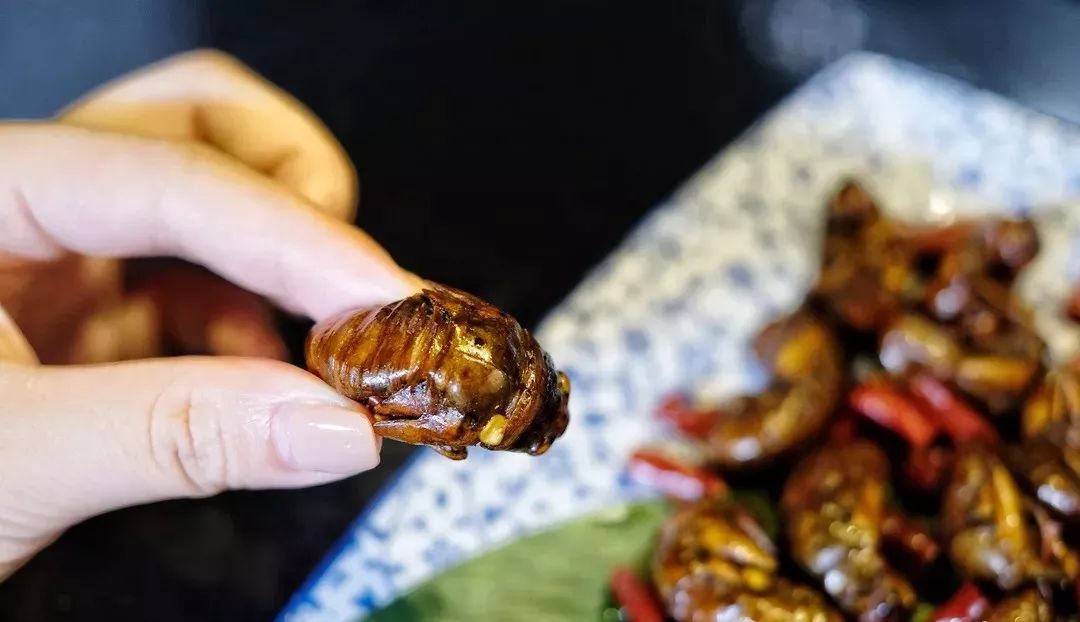 长沙十大变态美食店,长沙十大奇葩美食