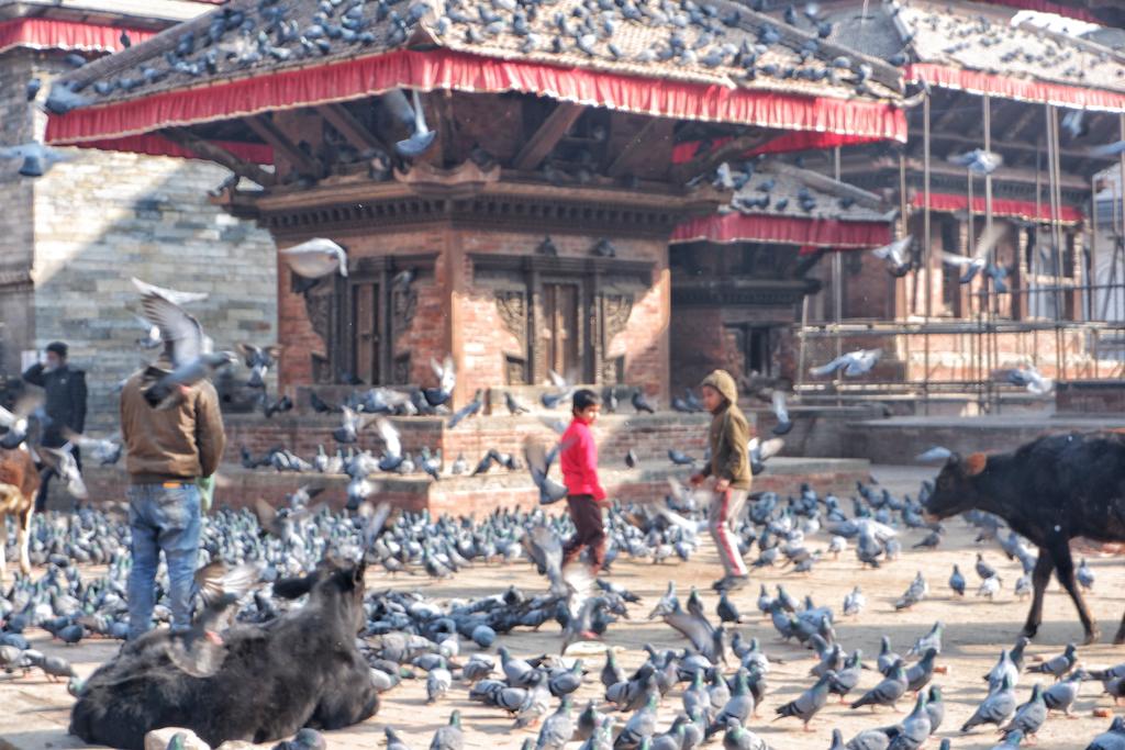 坐公交出国,坐公交可以环游中国么