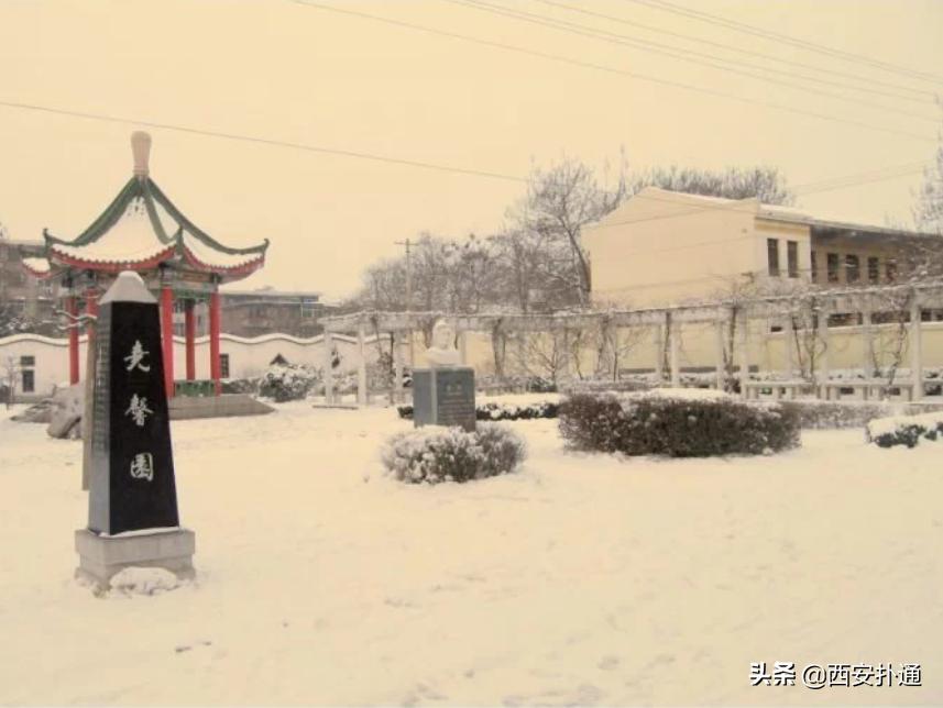 蒲城县好吃的地方推荐晚上,蒲城吃的最多的地方