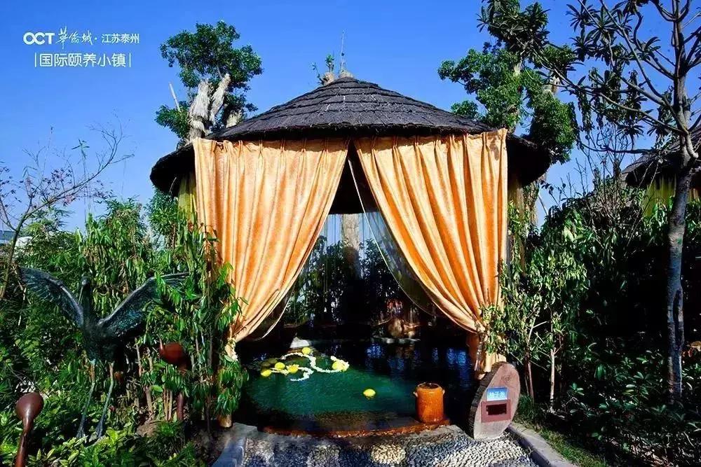 泰州溱湖一座人文湖景别墅，享受1800米湿地深处云海温泉丨欢墅