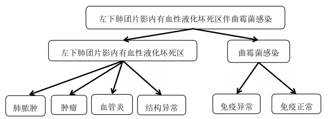 咳嗽10多天了有白痰细菌感染,咳嗽是肺部真菌感染吗