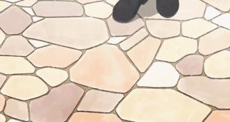 9.2分,半年后这么萌的片终于回来了