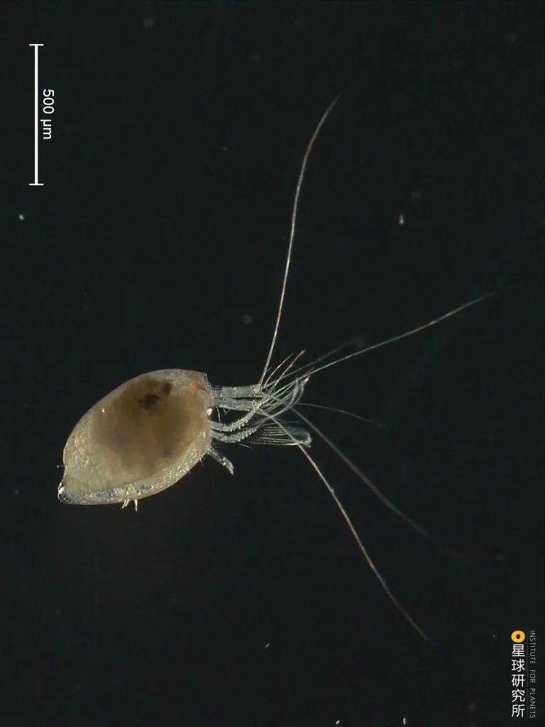 平潭在哪里租车,平潭在哪里哪个城市