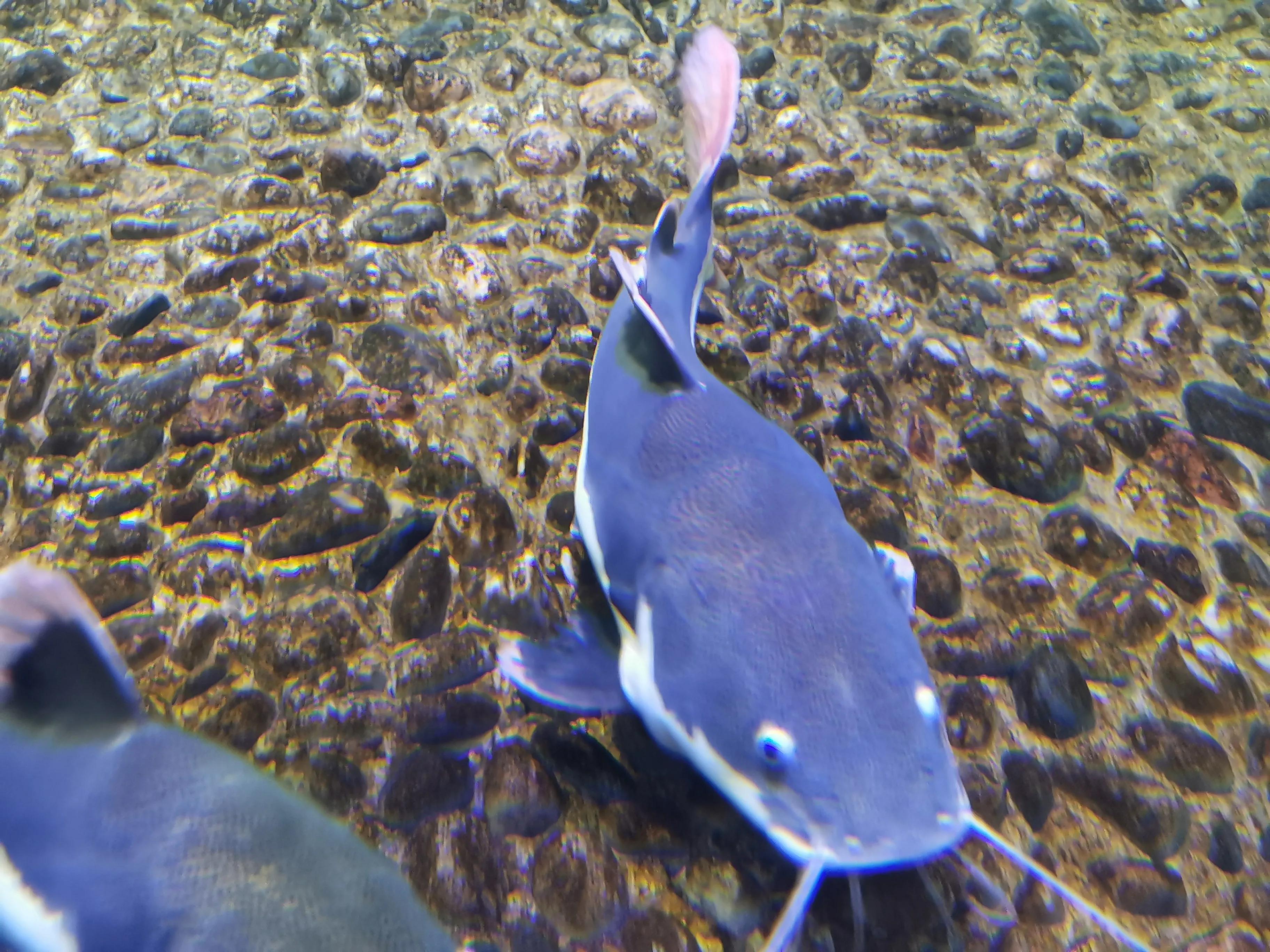 璧拌繘娴锋磱鍔ㄧ墿娴峰簳涓栫晫,鍙傝娴峰簳涓栫晫娴锋磱鍔ㄧ墿瑙嗛