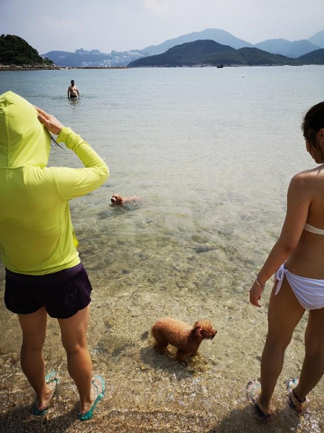 香港西贡游记下,香港最后一天去哪玩好