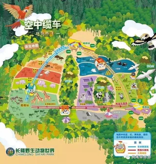 广州长隆旅游攻略野生动物园,广州长隆野生动物世界旅游攻略