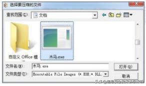 黑客编写木马程序的目的,木马技术原理动画