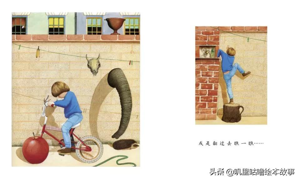 安东尼布朗儿童绘本合集,安东尼布朗出品的绘本有哪些