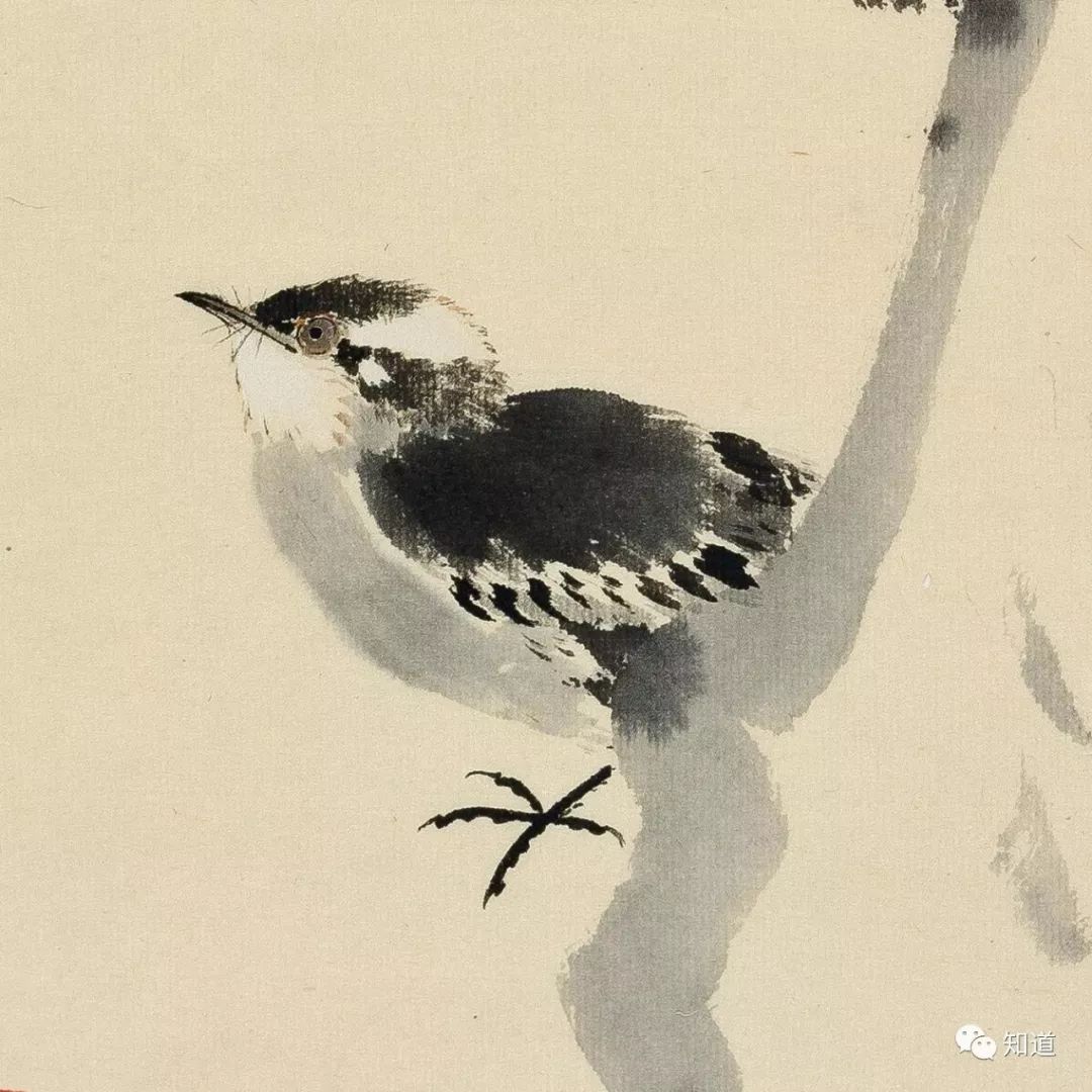 绘画必须明白的知识,绘画必须要学会什么