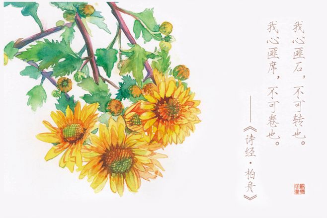 诗经里最美的50首诗句,诗经中十大绝美诗句欣赏