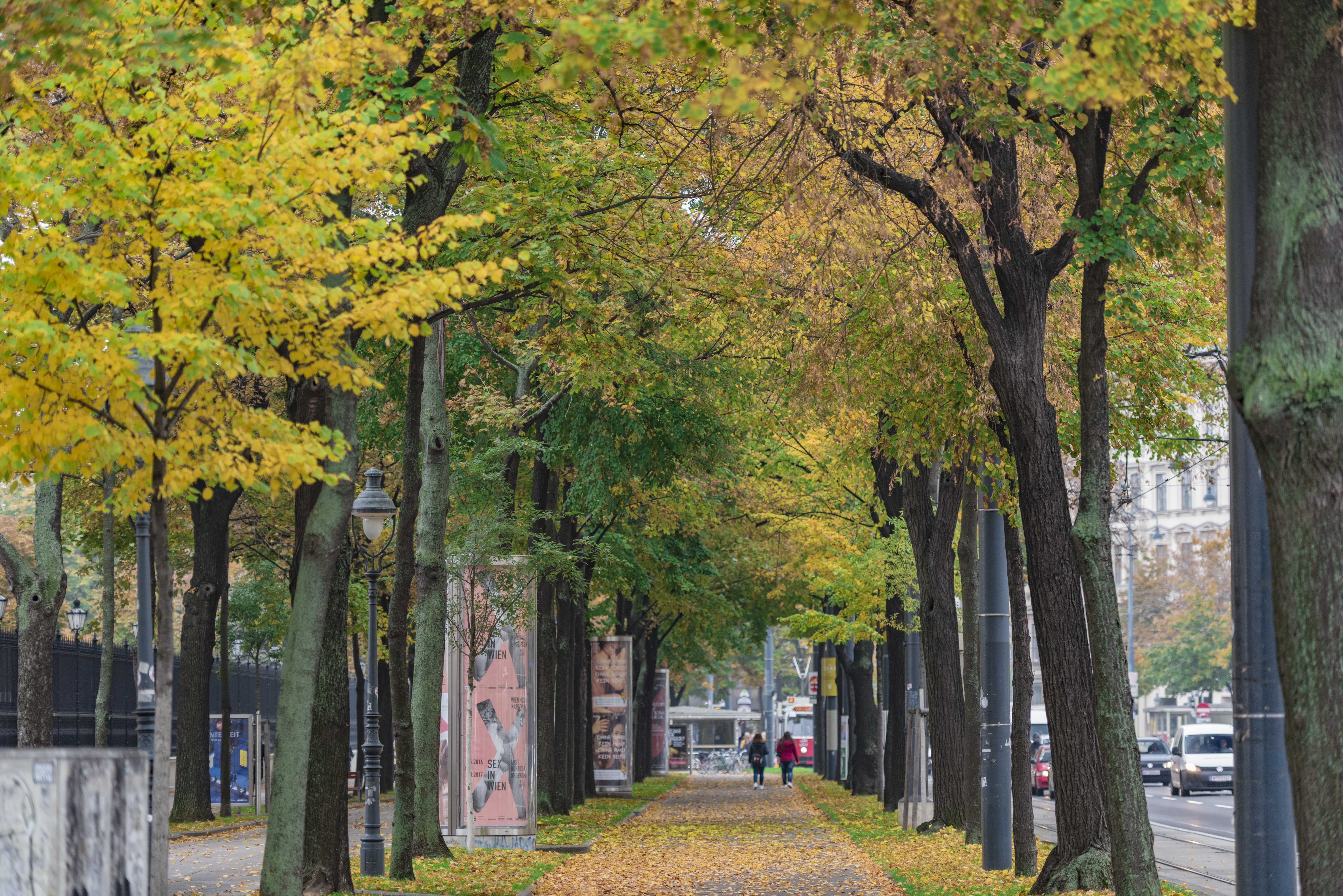 拒绝希特勒两次的城市，二战以来的维也纳