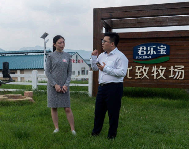 单片价格0.5左右的纸尿裤推荐,拼多多三无纸尿裤靠谱吗