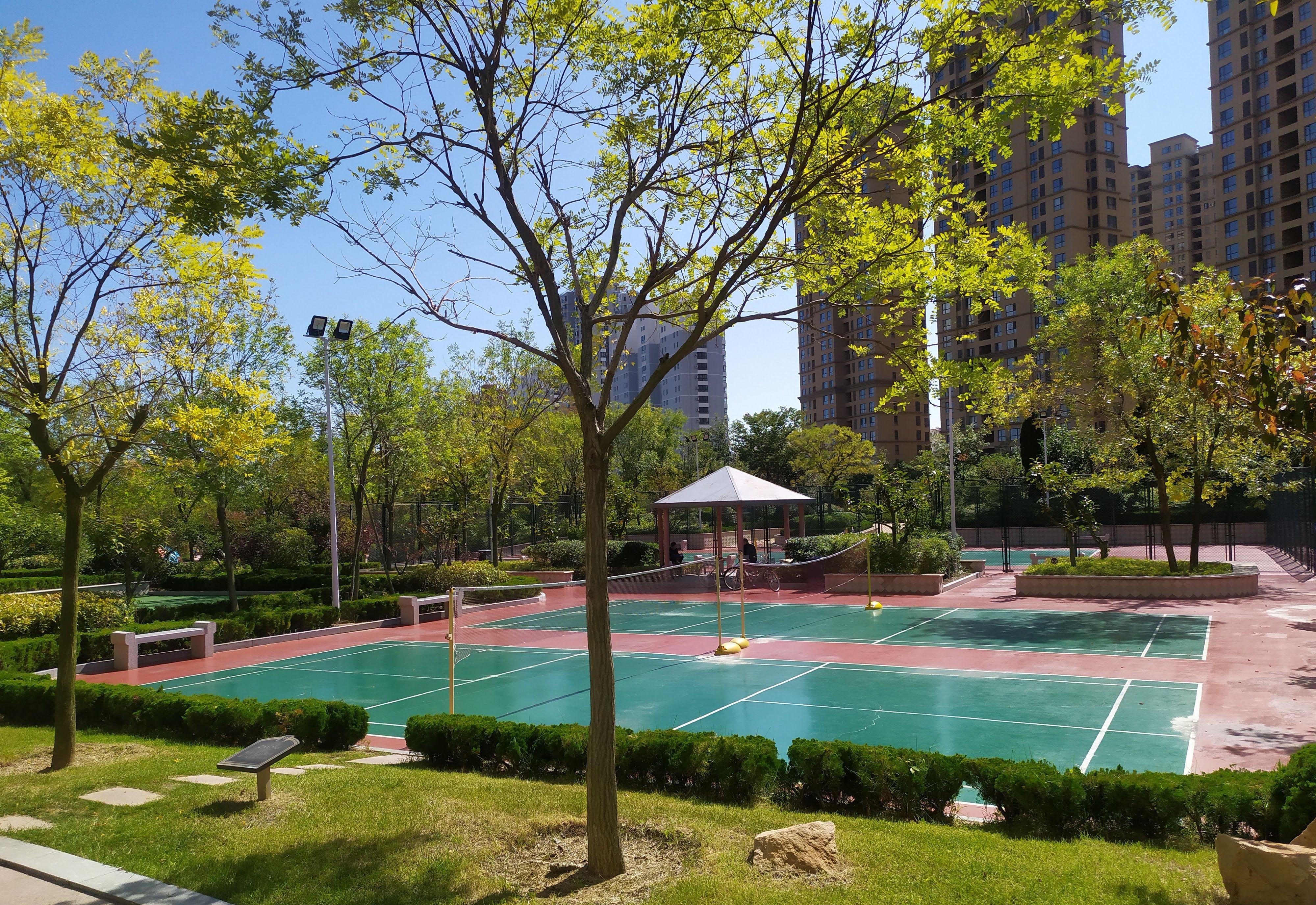 乳山银滩候鸟生活,乳山银滩哪里有鬼城