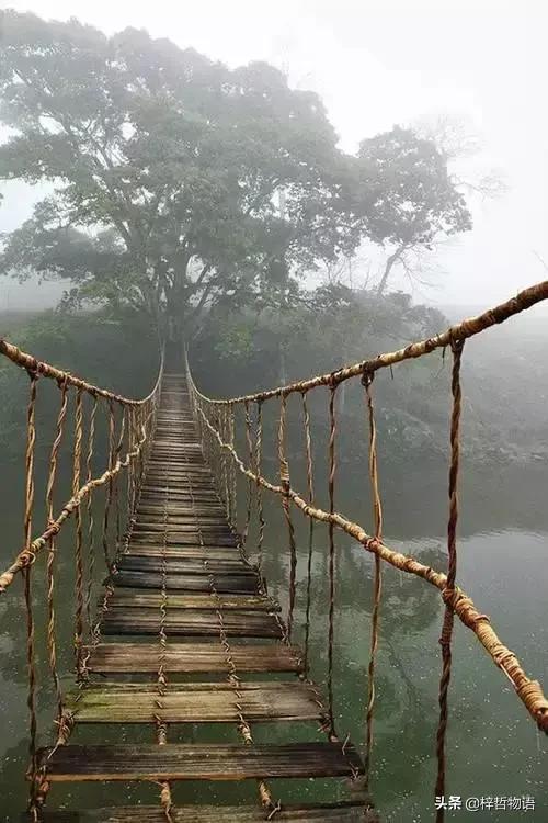 知乎摘录精彩问答56条，读后让人豁然开朗！