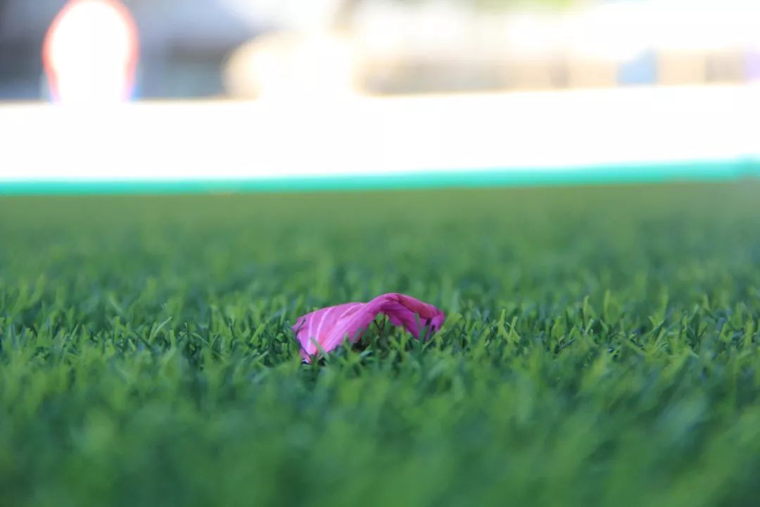 云浮体育公园2021,体育公园云浮