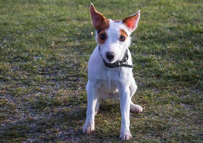 歪果网友分享自己暂时逃避现实的方法,压力大时可以试试了