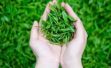 甲亢患者能喝酒吗,甲亢患者可以喝红茶吗