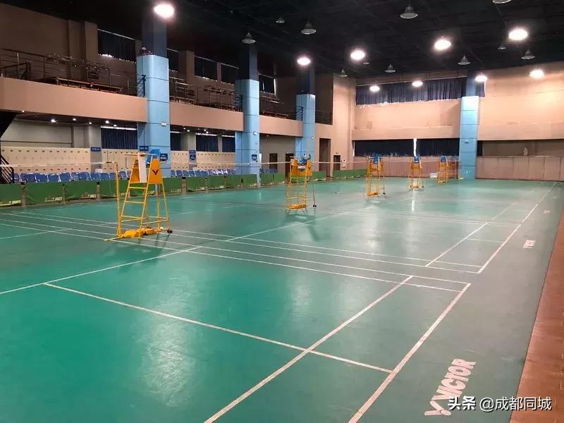 成都公共球场,成都公共体育场馆