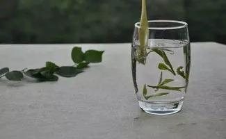 福鼎白茶五大品牌高档,福鼎白茶五大品牌高档你购买了吗