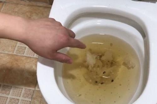 家里马桶用毛巾堵了,家里马桶堵了用皮搋子