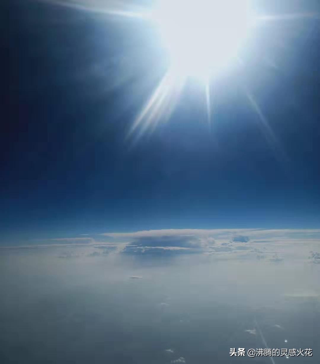 感受异国风情西双版纳,亲近长隆野生动物的一天