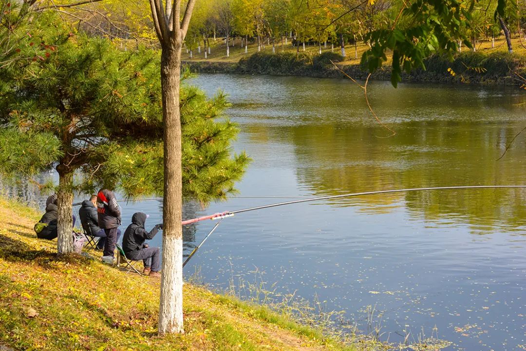 春意盎然北京五大公园,北京区级综合性公园
