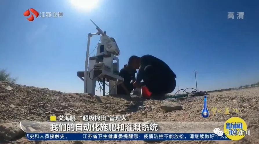 棉田种植方式,两个人挑战3000亩新疆棉田