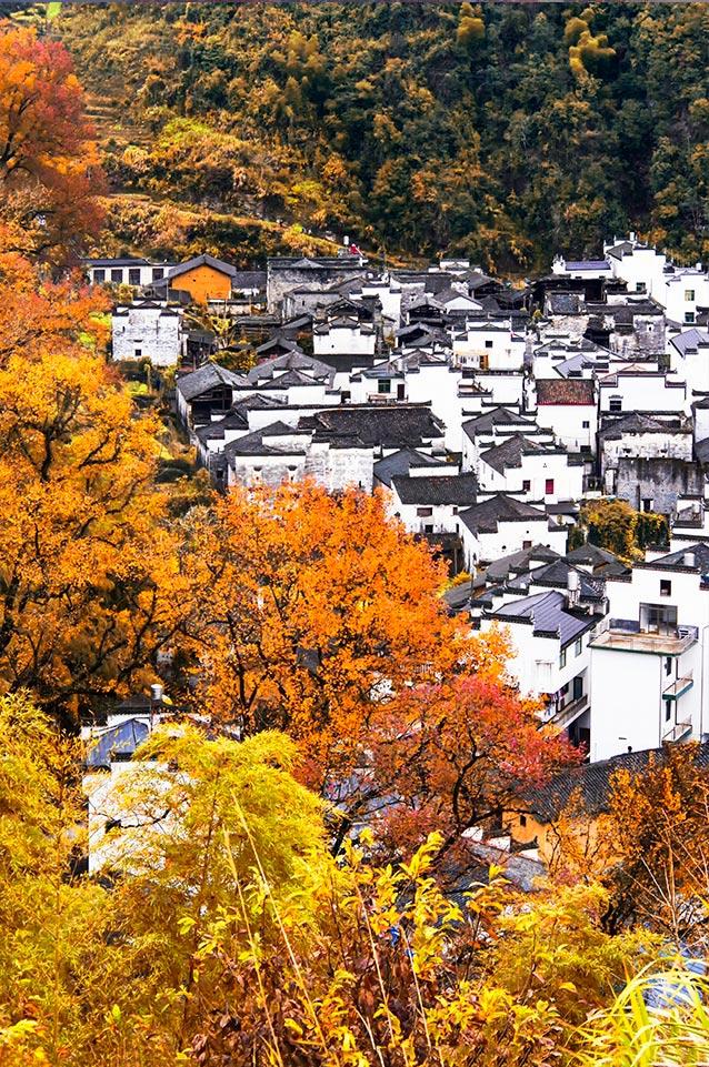 臻选人文度假品牌开山之作,惊艳问世,与月途看尽婺源千面之美