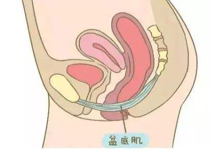 尿闭习惯会怎么样,引起尿失禁原因分析图解