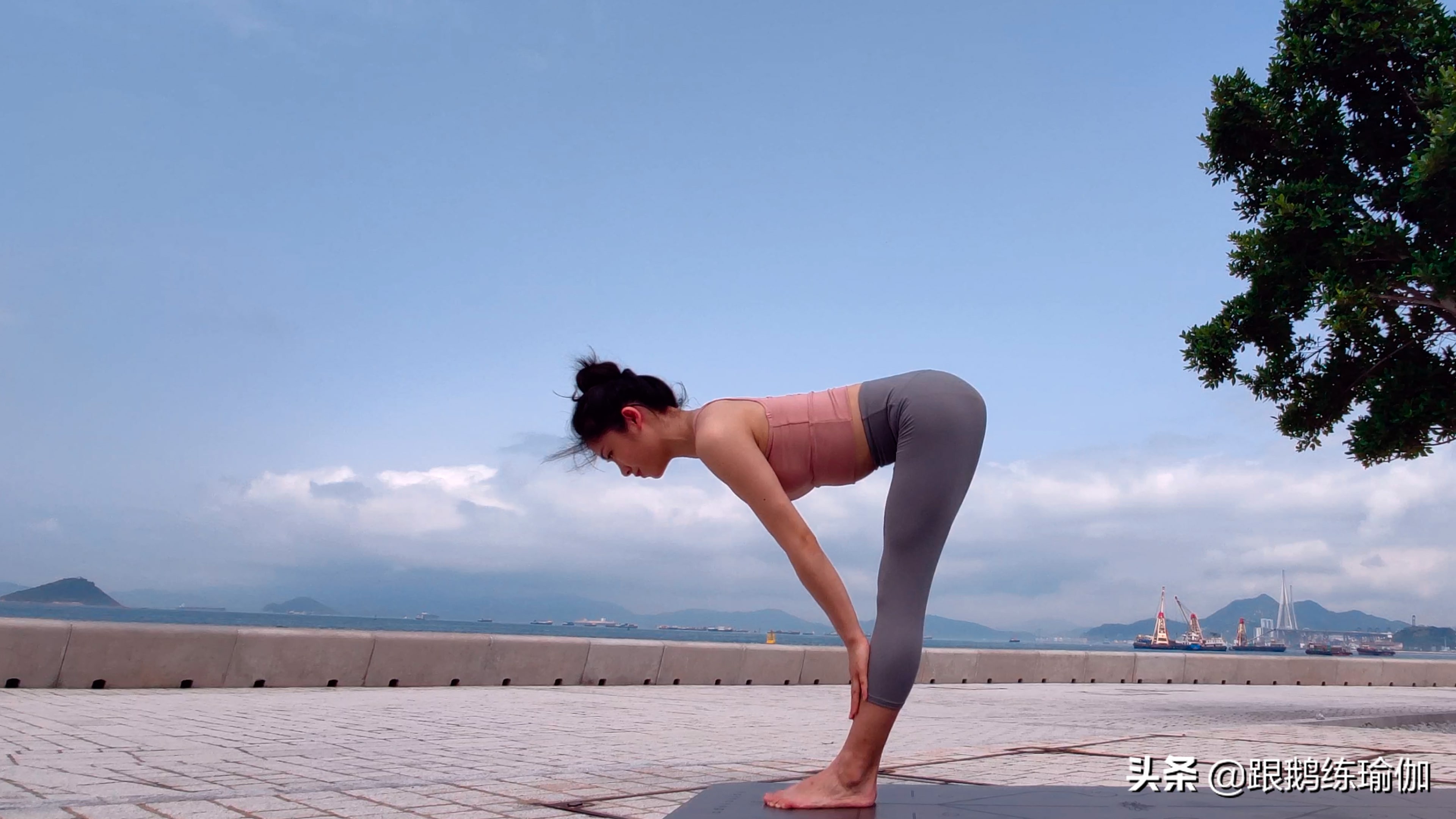 拜日a式注意要点,拜日式a完整版口令