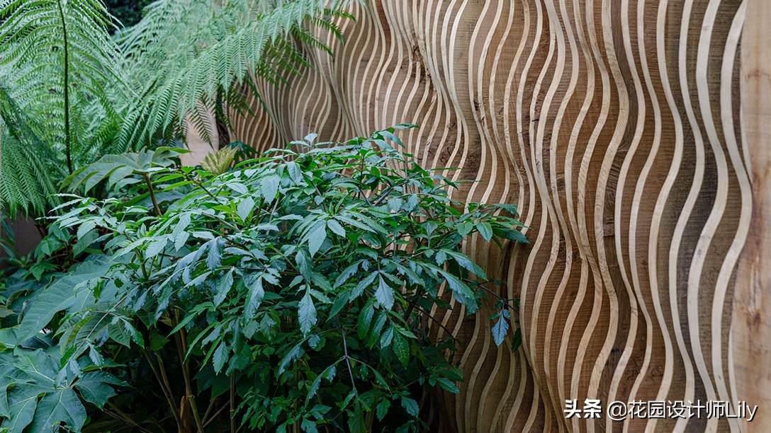 2023年切尔西花展各个花园的介绍,切尔西花展最佳花园