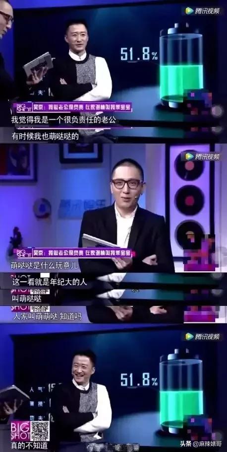 吴京电影宝藏,吴京演了无价之宝吗
