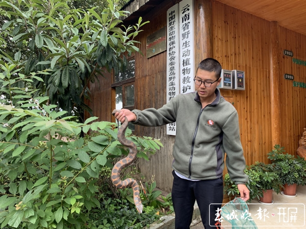 一农民伐树被罚,村民砍树被罚