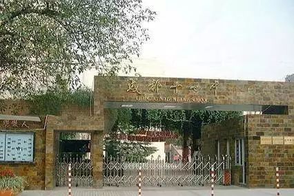 科大附中实验中学,科大实验中学2023中考录取分数线